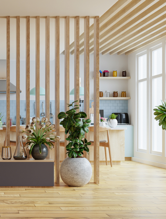 Luxury Interior Design